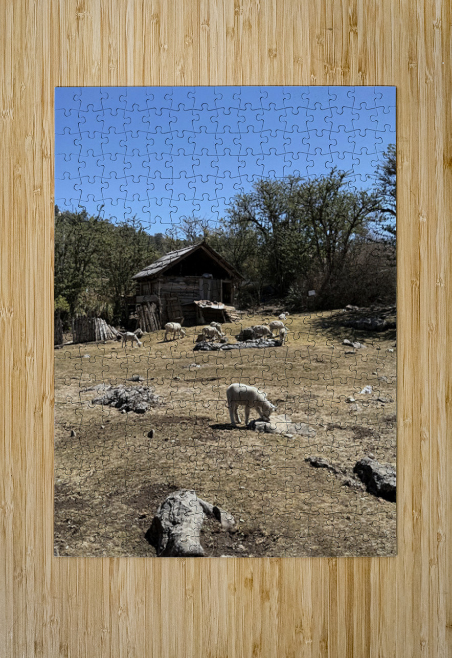 IMG 9504 Click4Pix Puzzle printing