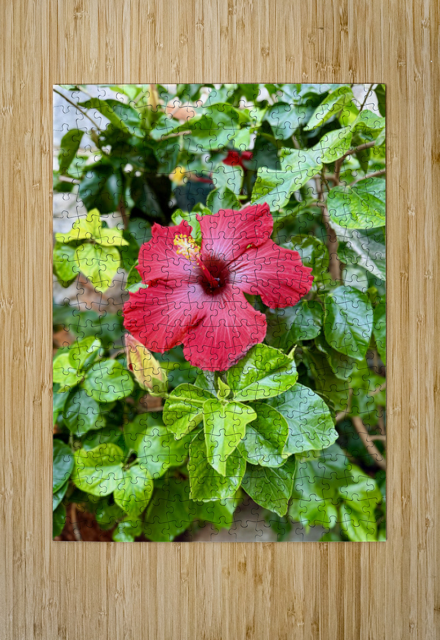 IMG 9958 Click4Pix Puzzle printing