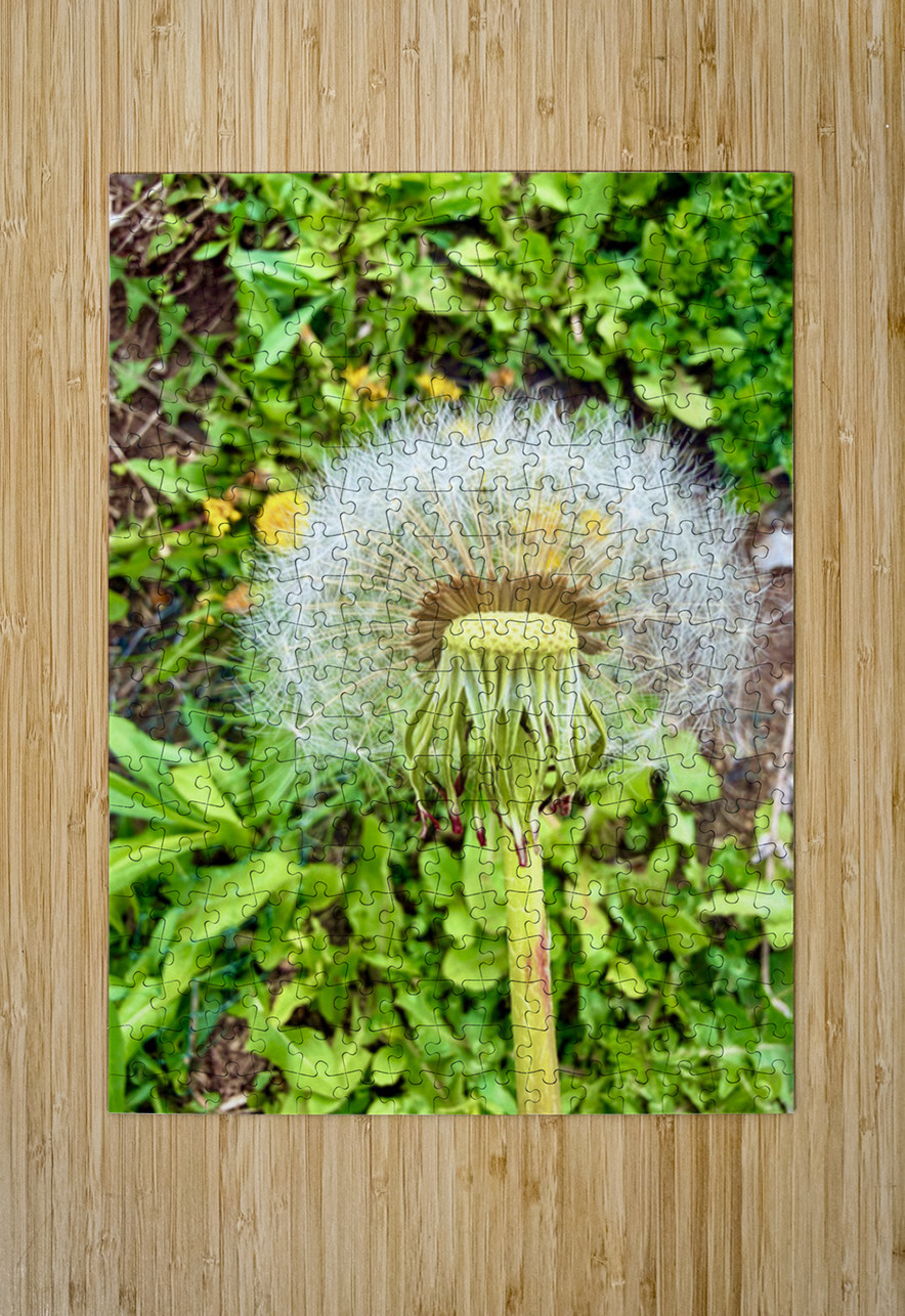 Garden Level Click4Pix Puzzle printing