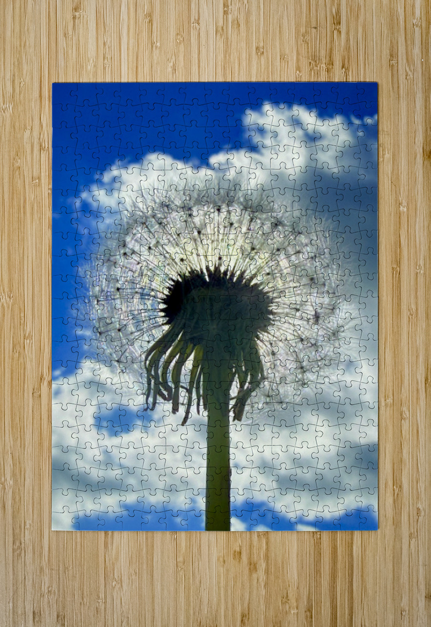 Nature’s Halo Click4Pix Puzzle printing