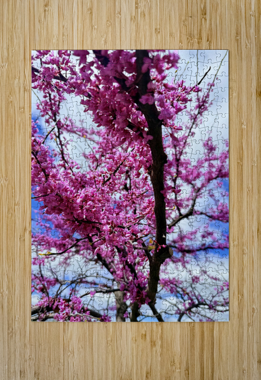  Redbud in Full Glory Click4Pix Puzzle printing