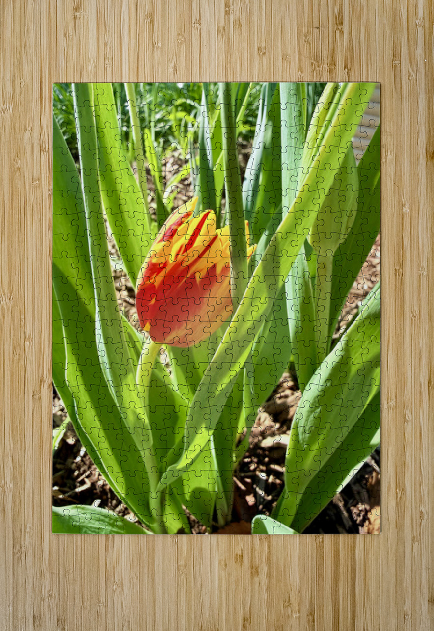 Tucked Away Click4Pix Puzzle printing