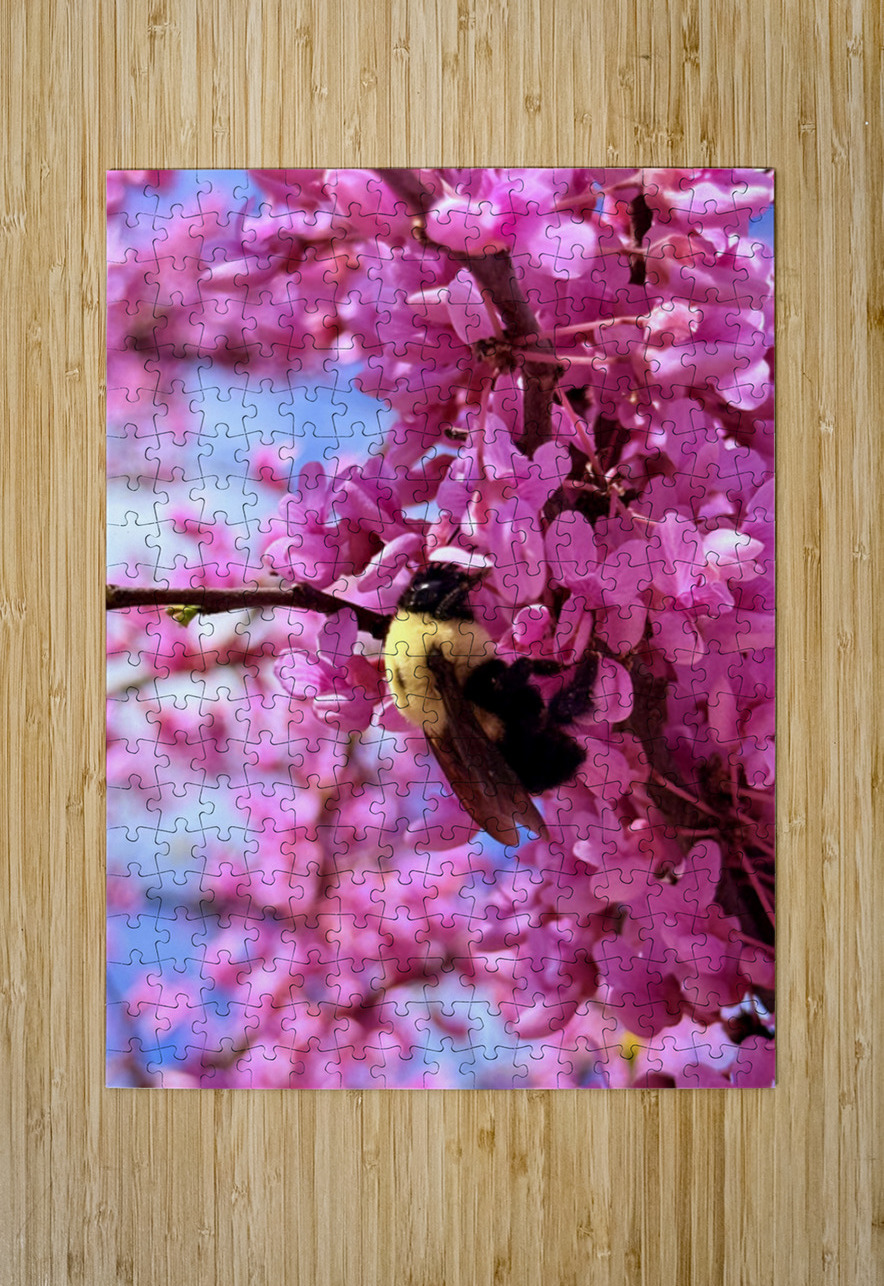 Spring Patrol Click4Pix Puzzle printing