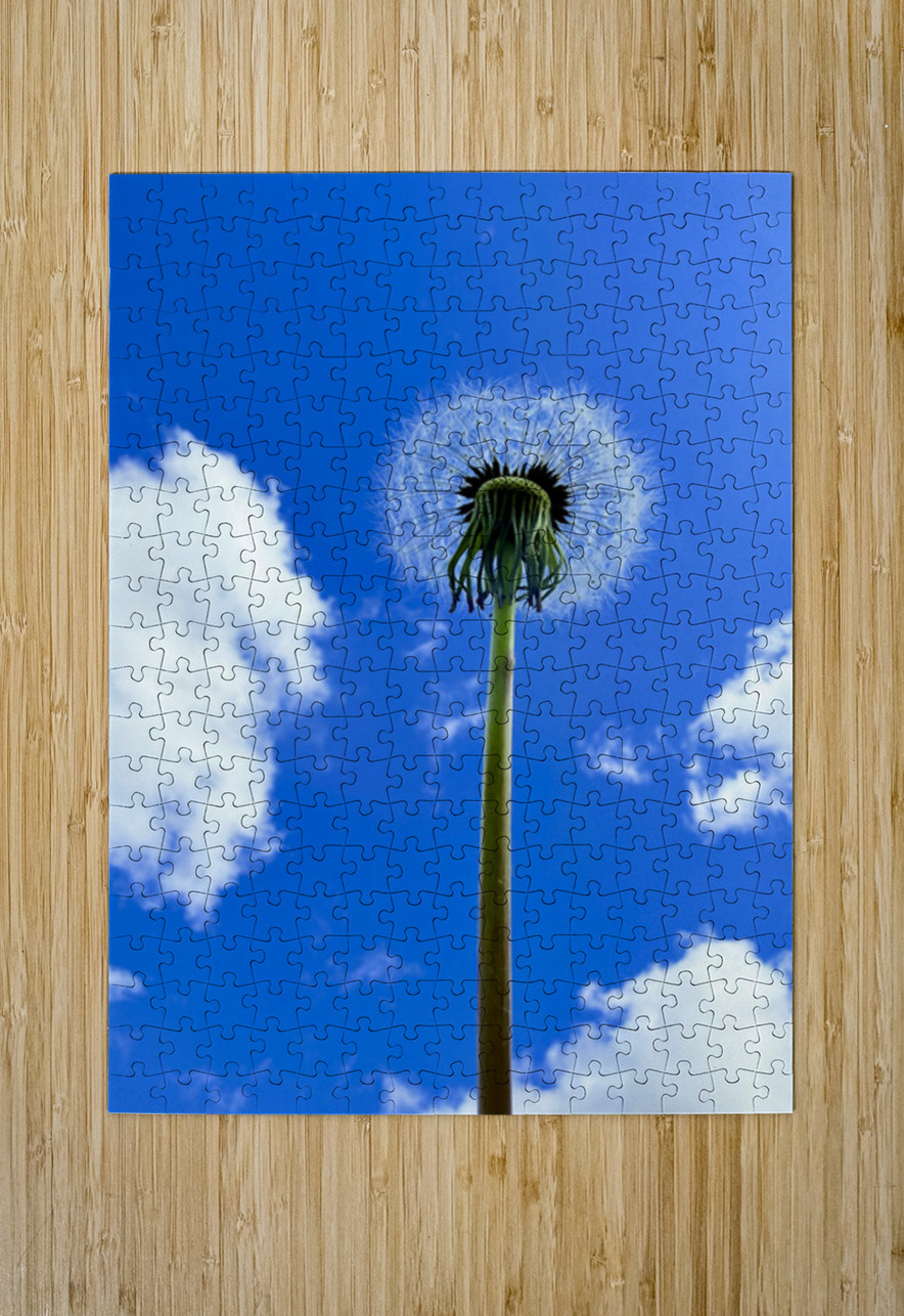 Make a Wish Click4Pix Puzzle printing