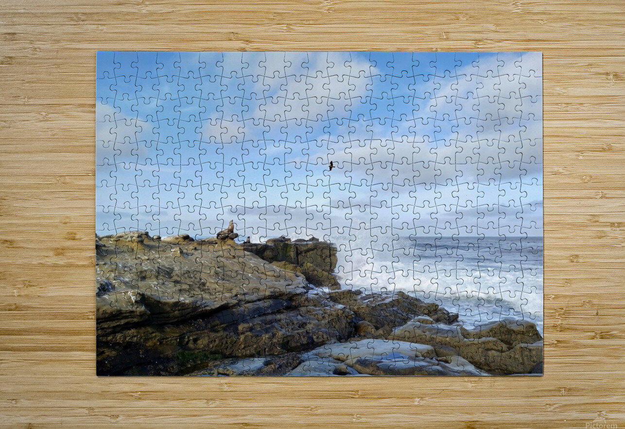 Seal Meditation 2B Click4Pix Puzzle printing