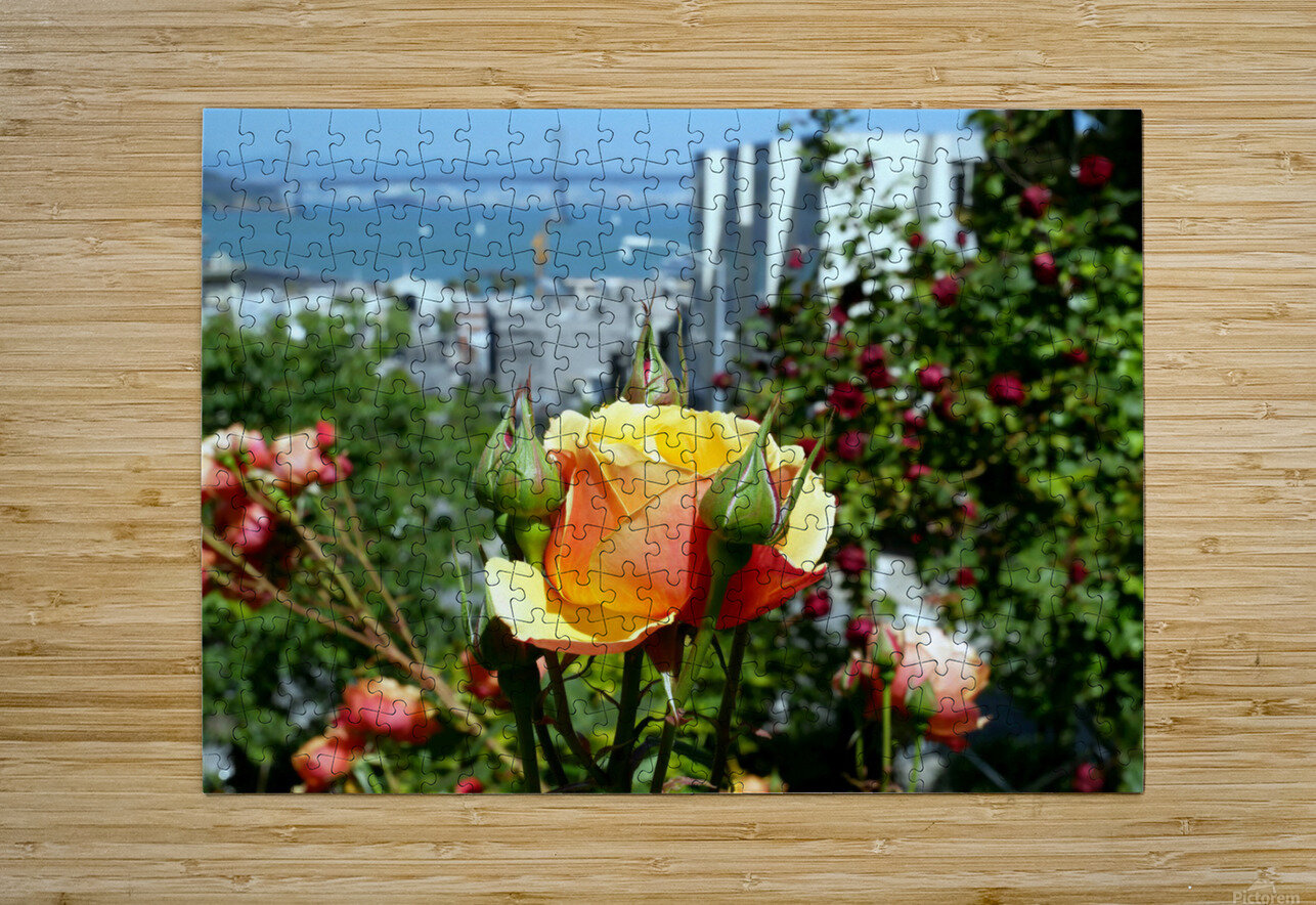 A City Rose Click4Pix Puzzle printing