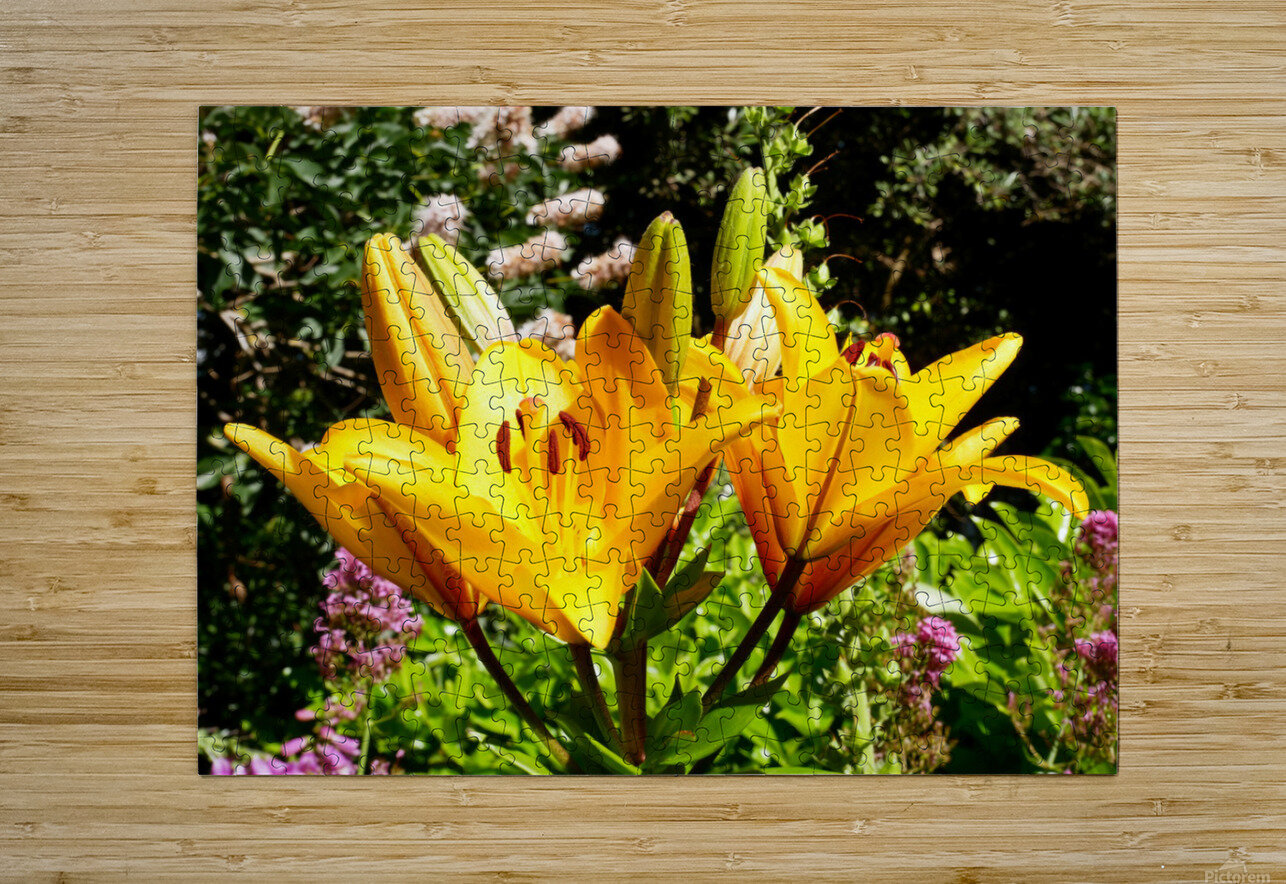 Bursting Beauty Click4Pix Puzzle printing