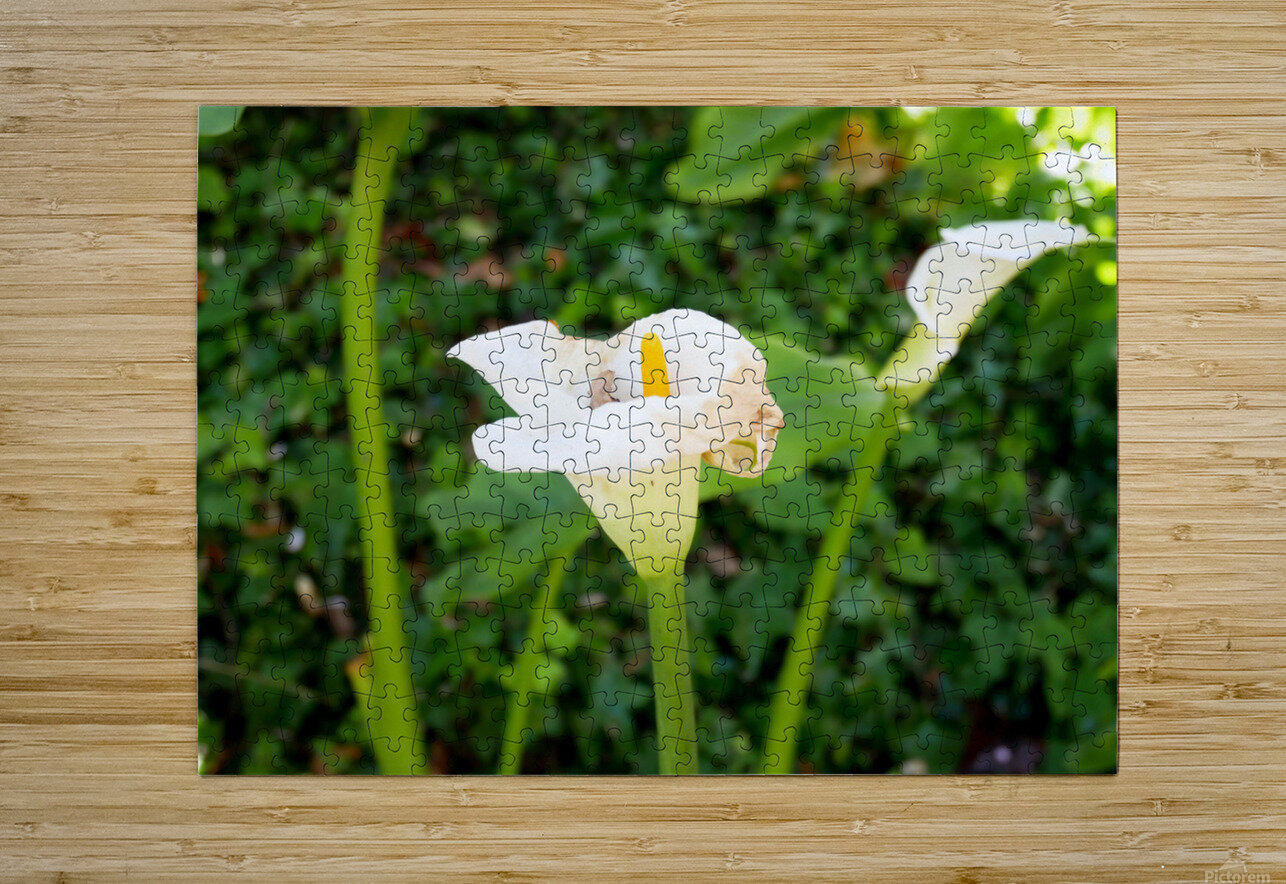 Golden Rod Exposed 2 Click4Pix Puzzle printing