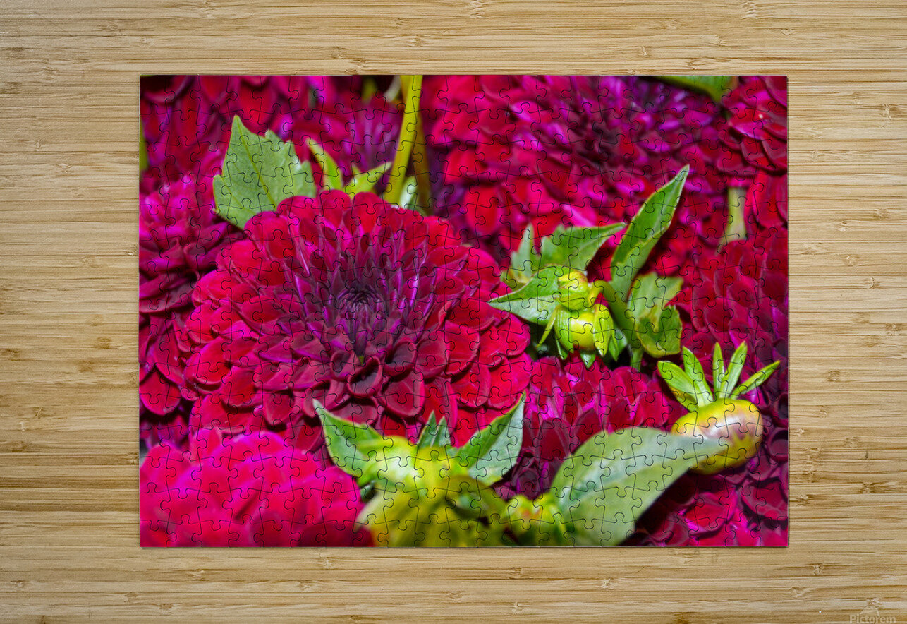 Flower Bloom 4 Click4Pix Puzzle printing