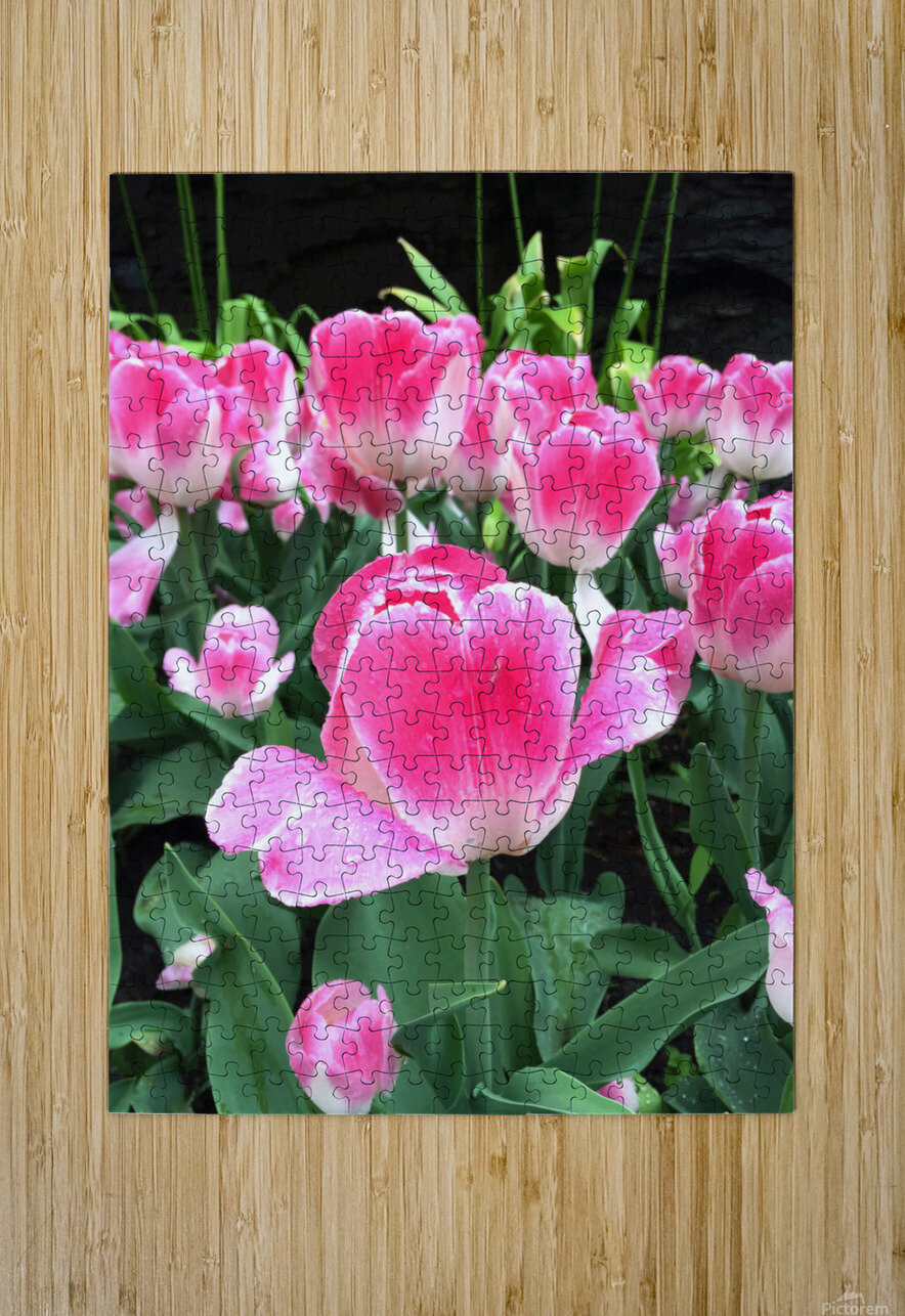 Tulips Are Better Than One C Click4Pix Puzzle printing