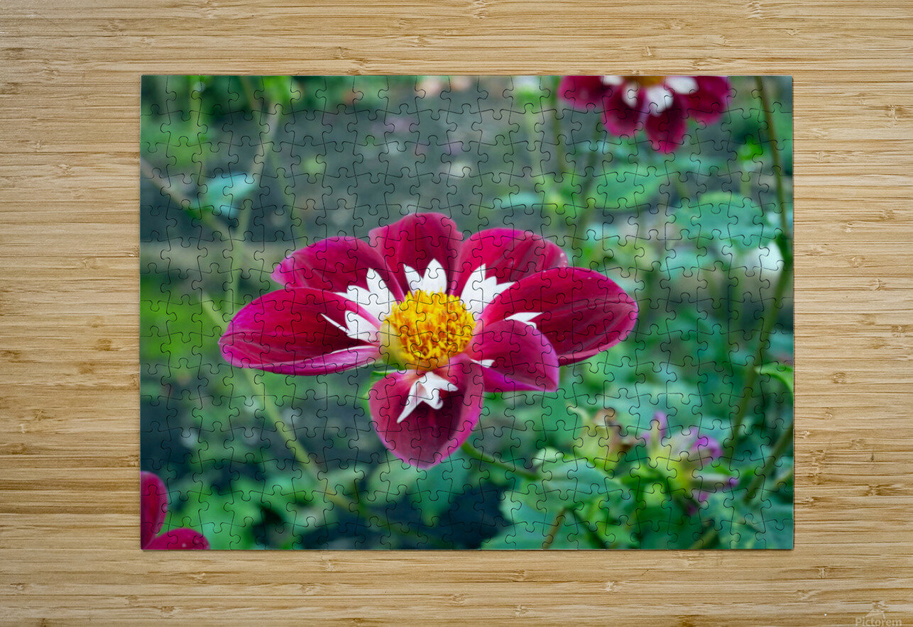Crimson Bloom Boom   Click4Pix Puzzle printing