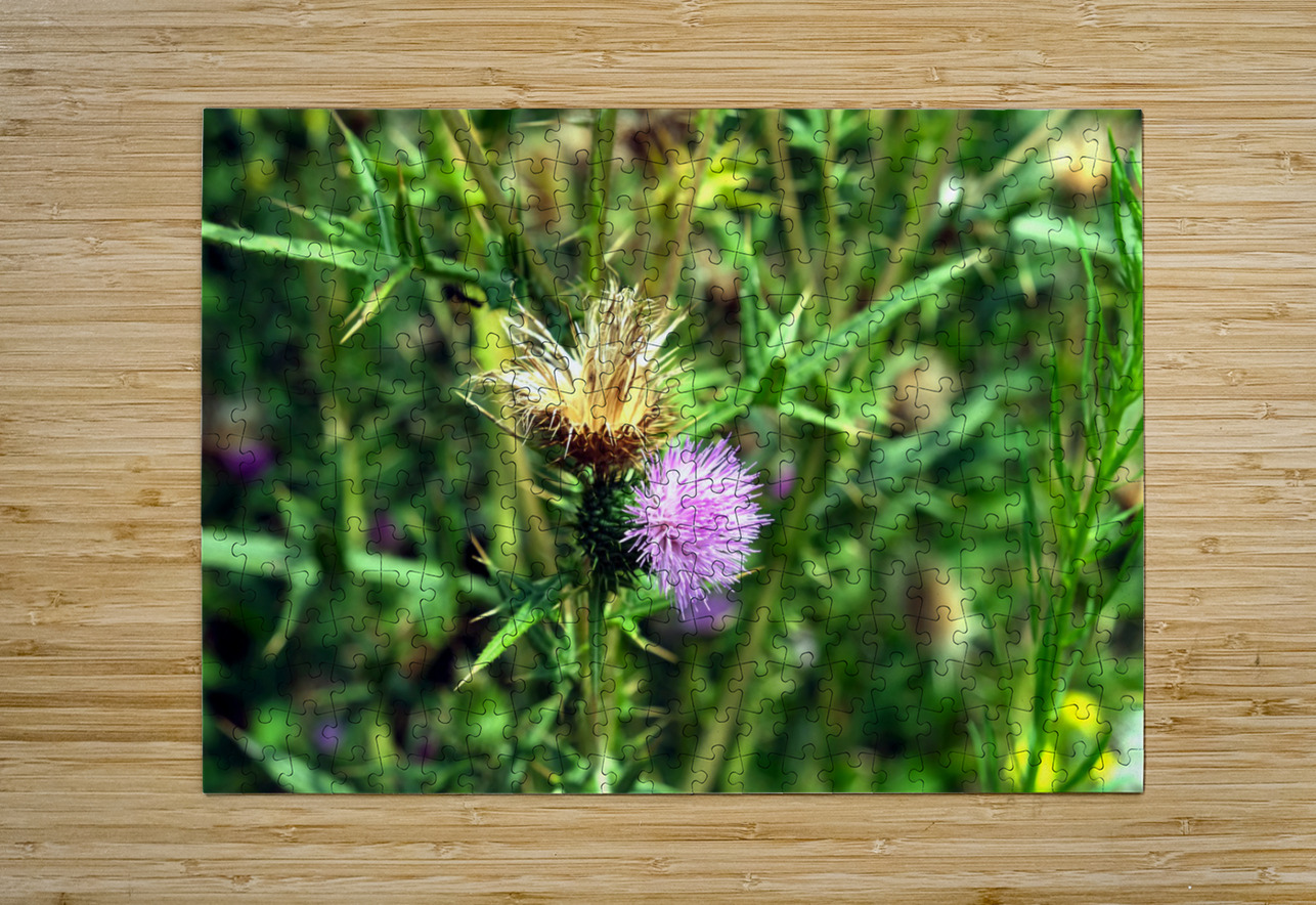Thistle Be a Good Day Click4Pix Puzzle printing