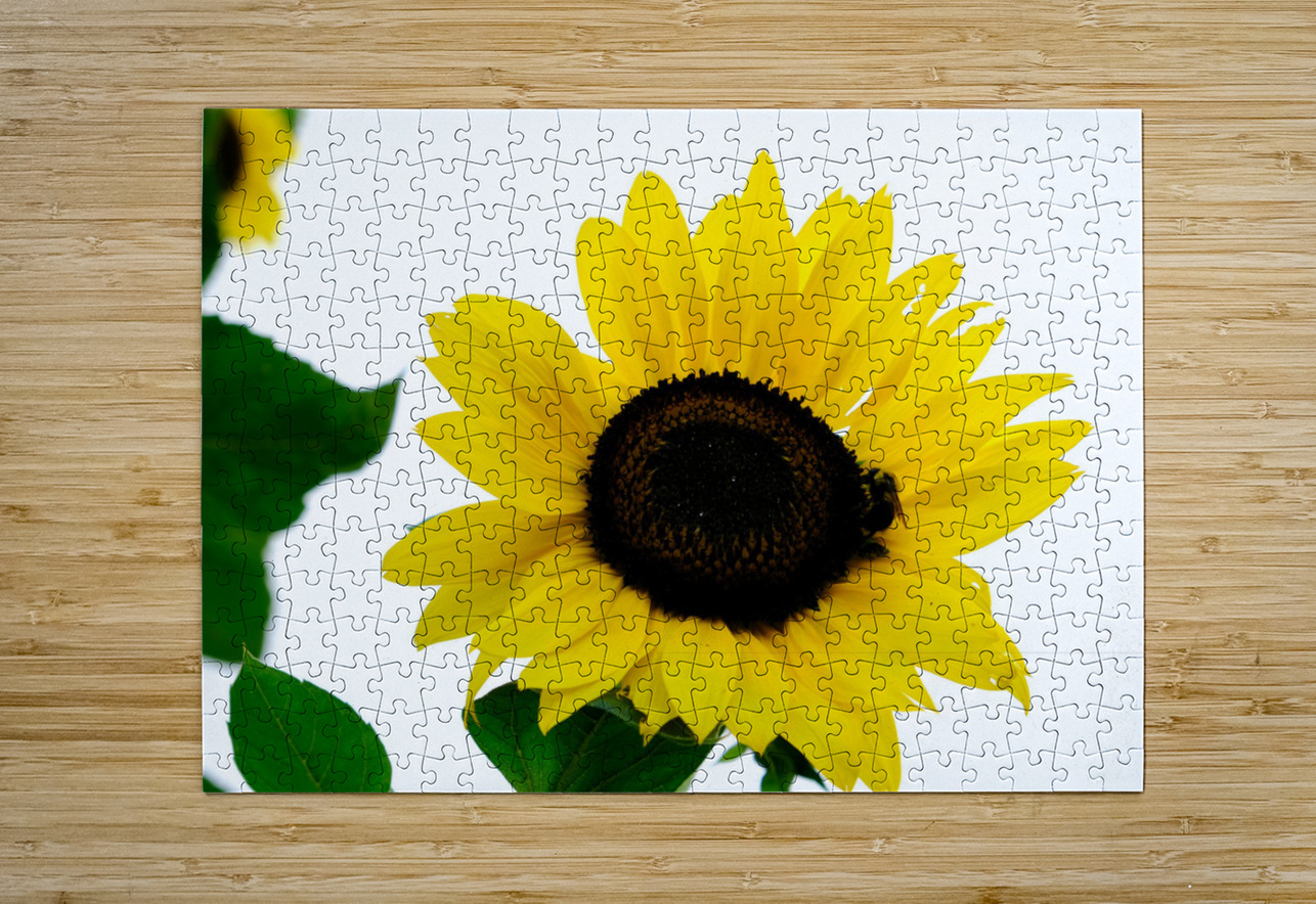 Blooms of Joy 3 Click4Pix Puzzle printing