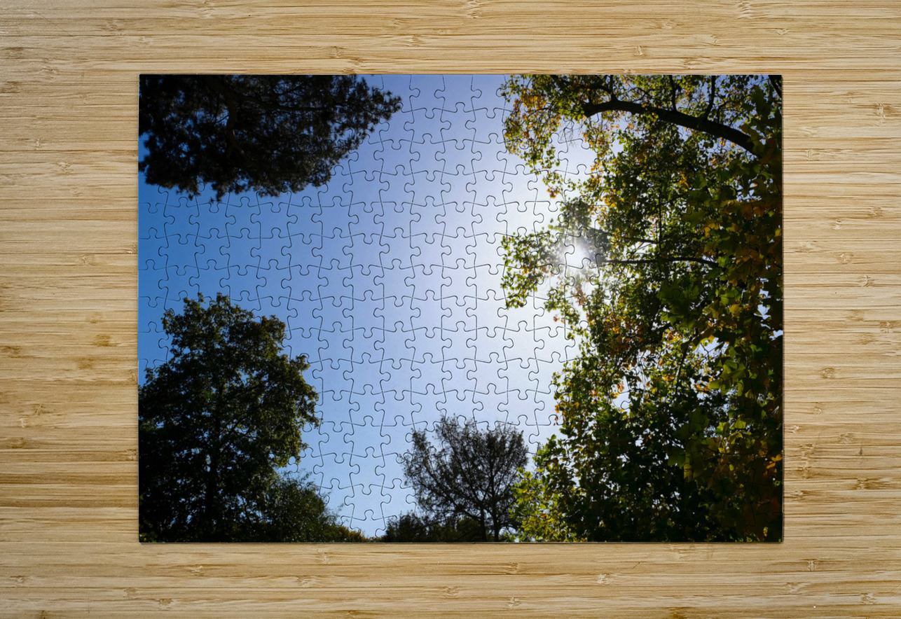 Seeing the Light Click4Pix Puzzle printing