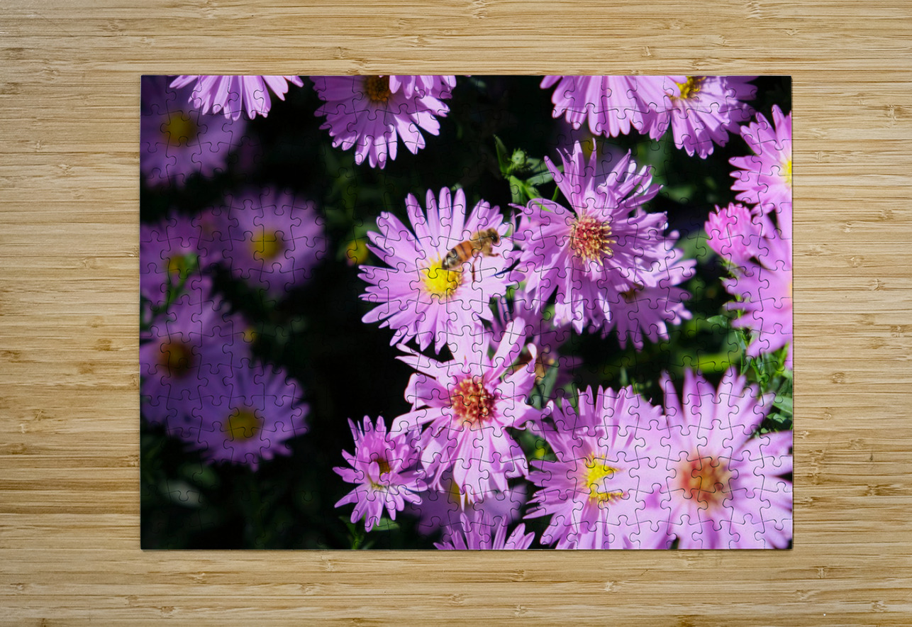 Pink Daisies 2B Click4Pix Puzzle printing