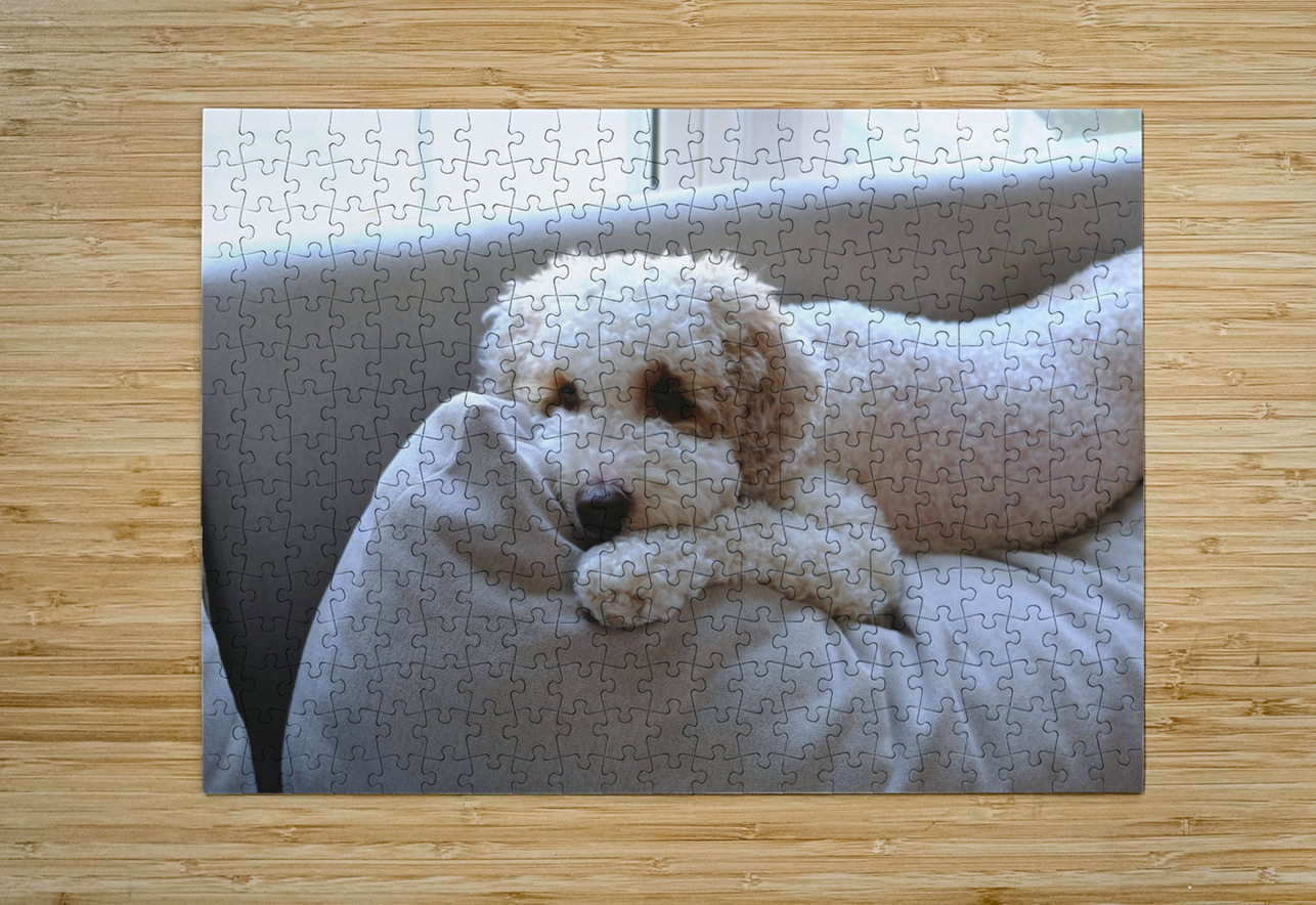 Patient Pooch Finn Click4Pix Puzzle printing