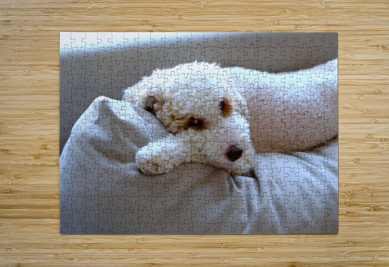 Not Pouting Pooch Click4Pix Puzzle printing