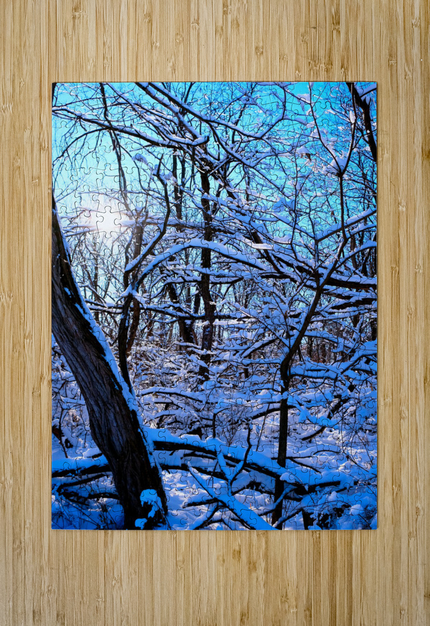 Frozen Limbs 3 Click4Pix Puzzle printing