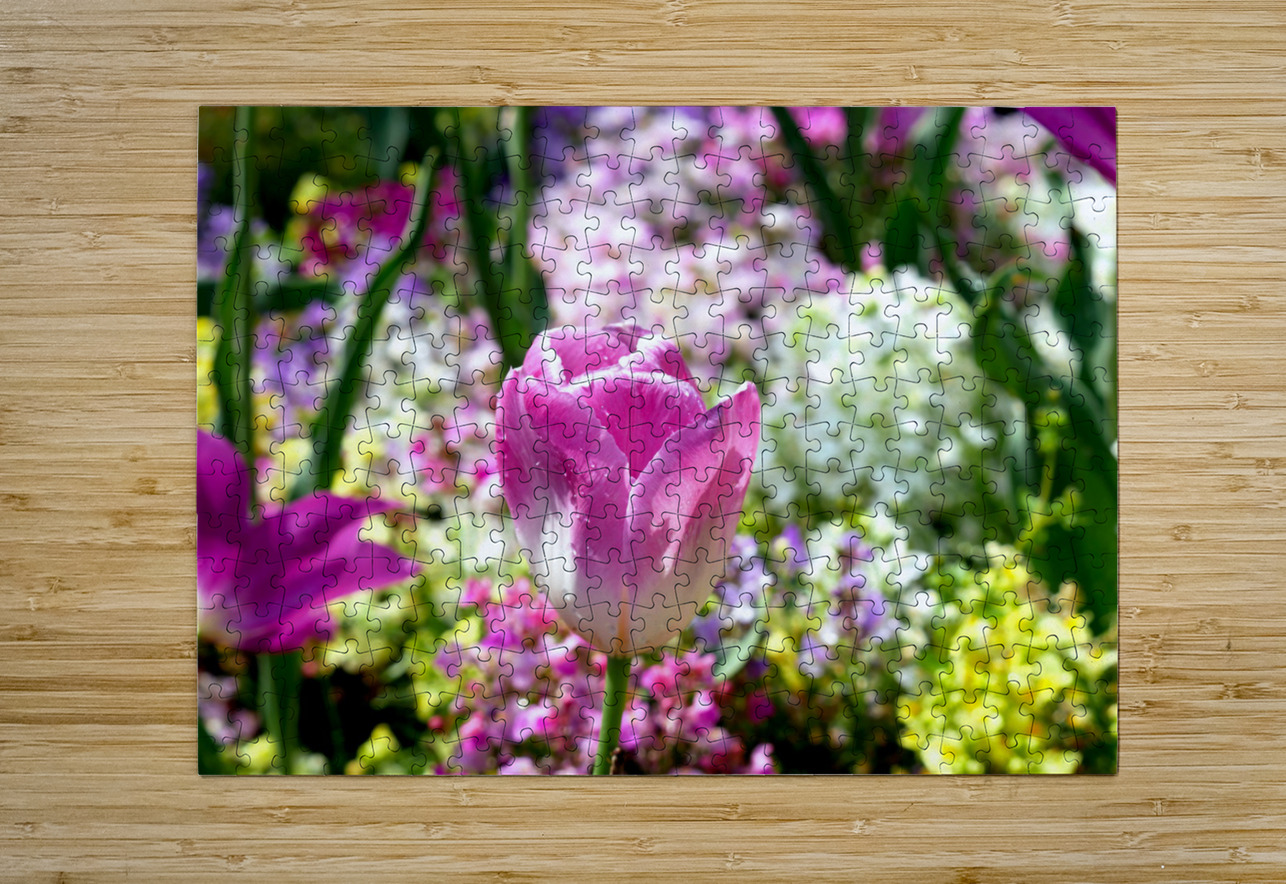 Tulips Are Better Than One 2 Click4Pix Puzzle printing