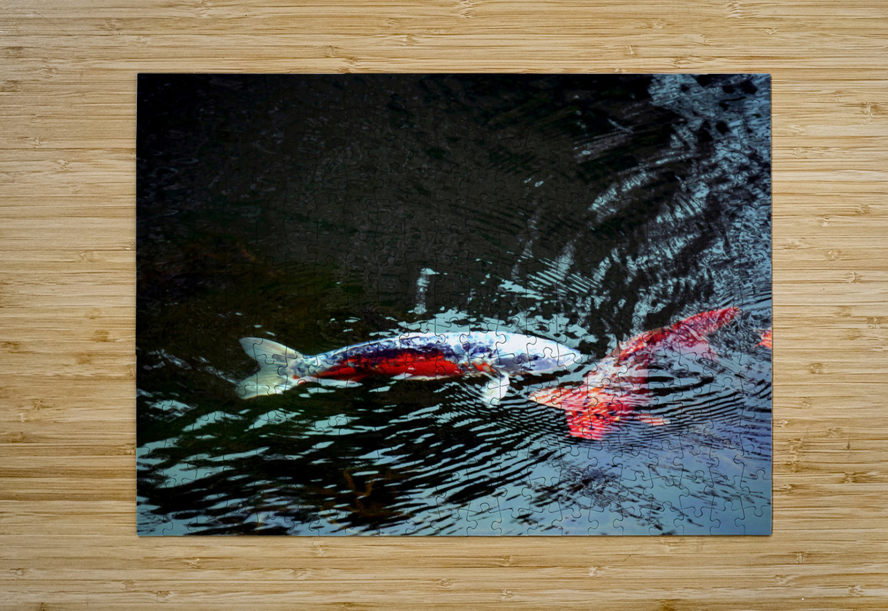 Playful Koi 2 Click4Pix Puzzle printing