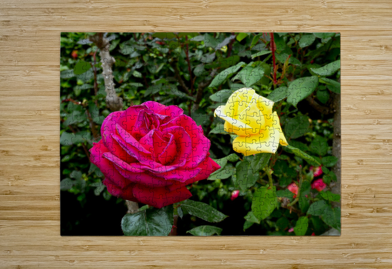 Two Roses Click4Pix Puzzle printing