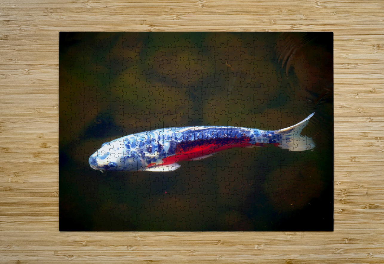 An American Koi Story Click4Pix Puzzle printing