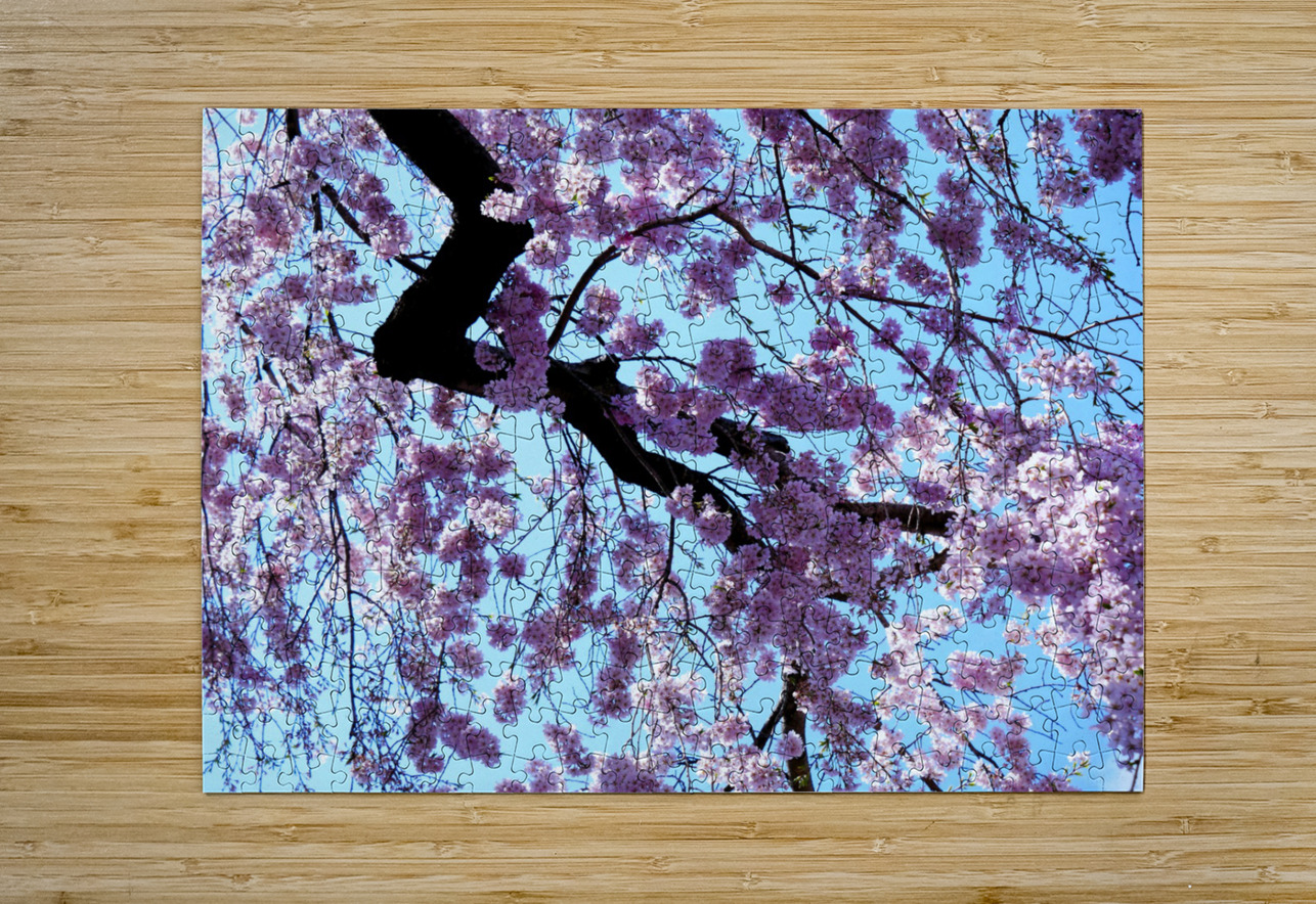 Cherry Blossom 3 Click4Pix Puzzle printing