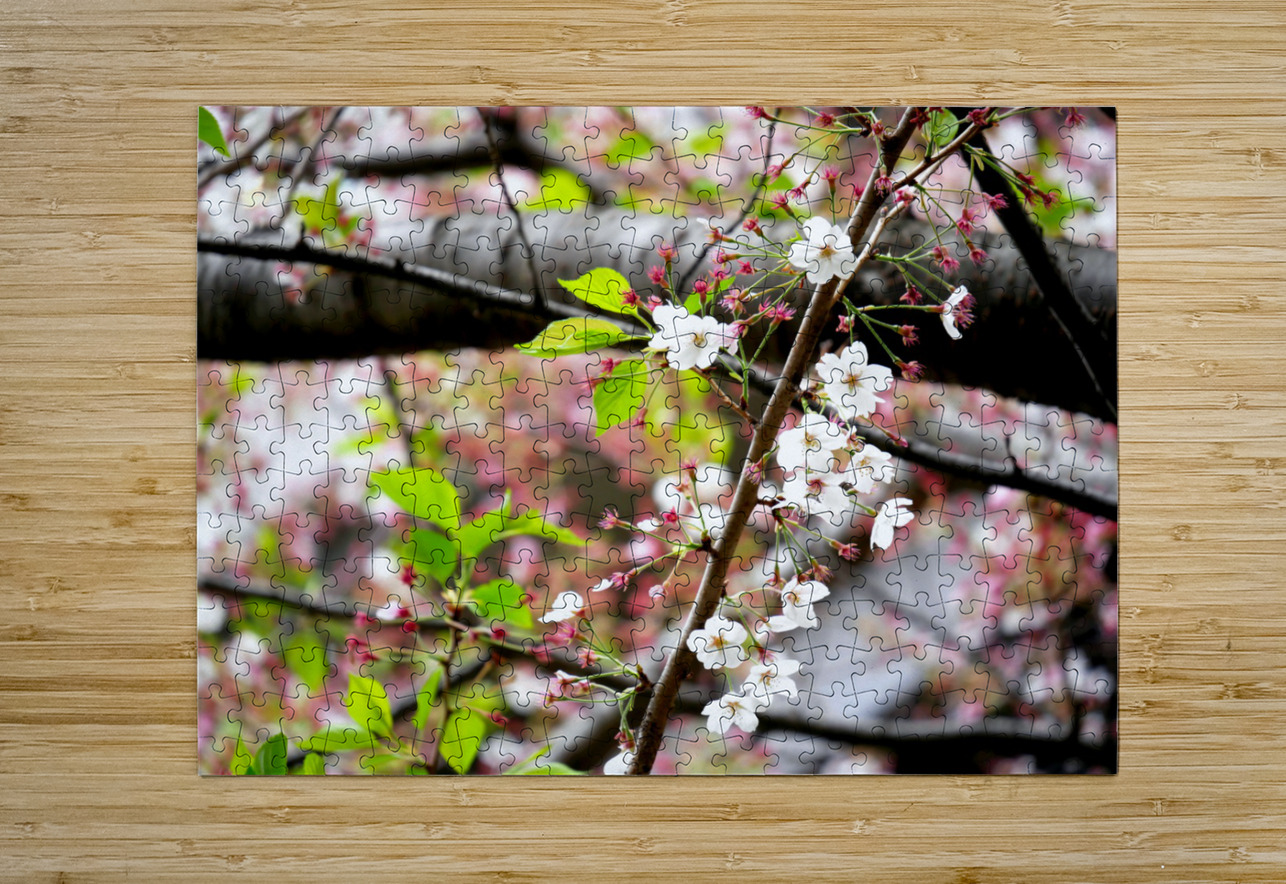 Cherry Blossom 2 Click4Pix Puzzle printing
