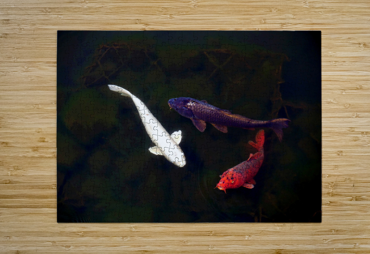 Some Very Coy Koi Click4Pix Puzzle printing