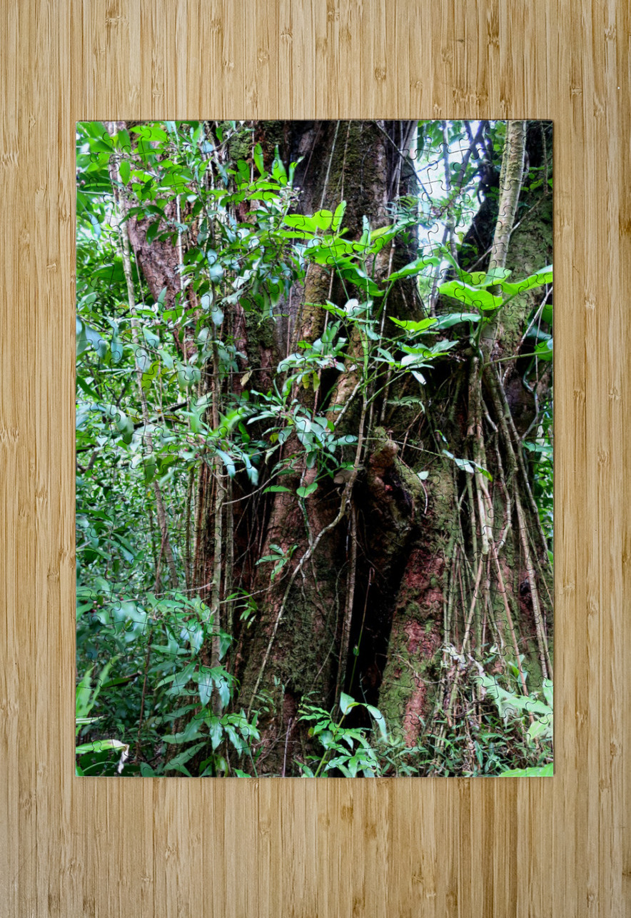 Hiking Hawaii 2 Click4Pix Puzzle printing