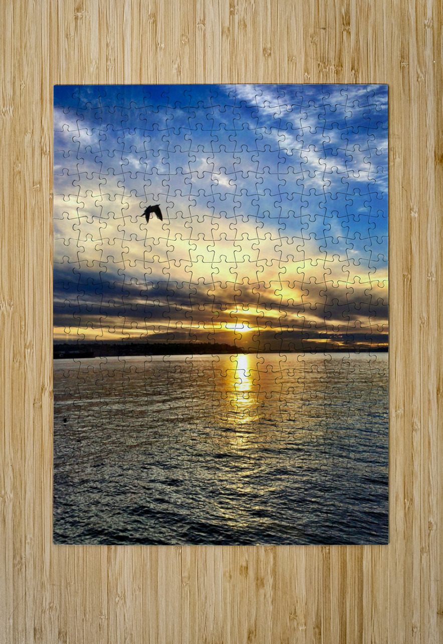 Flying Over the Edgewater Click4Pix Puzzle printing
