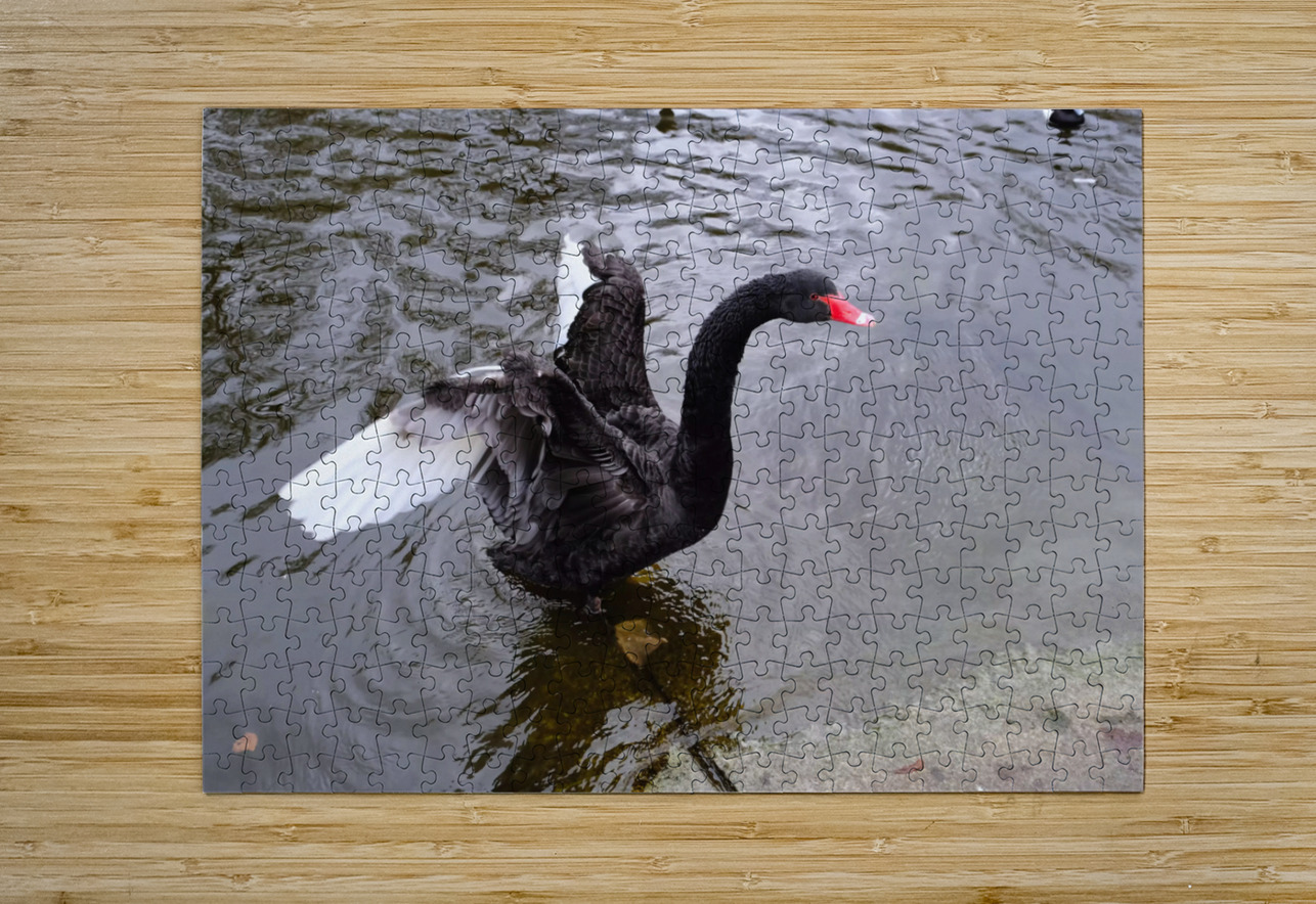 A Black Swan Moment Click4Pix Puzzle printing