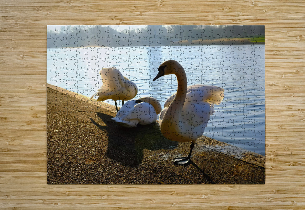 Swan Yoga Morning Stretch 3 Click4Pix Puzzle printing
