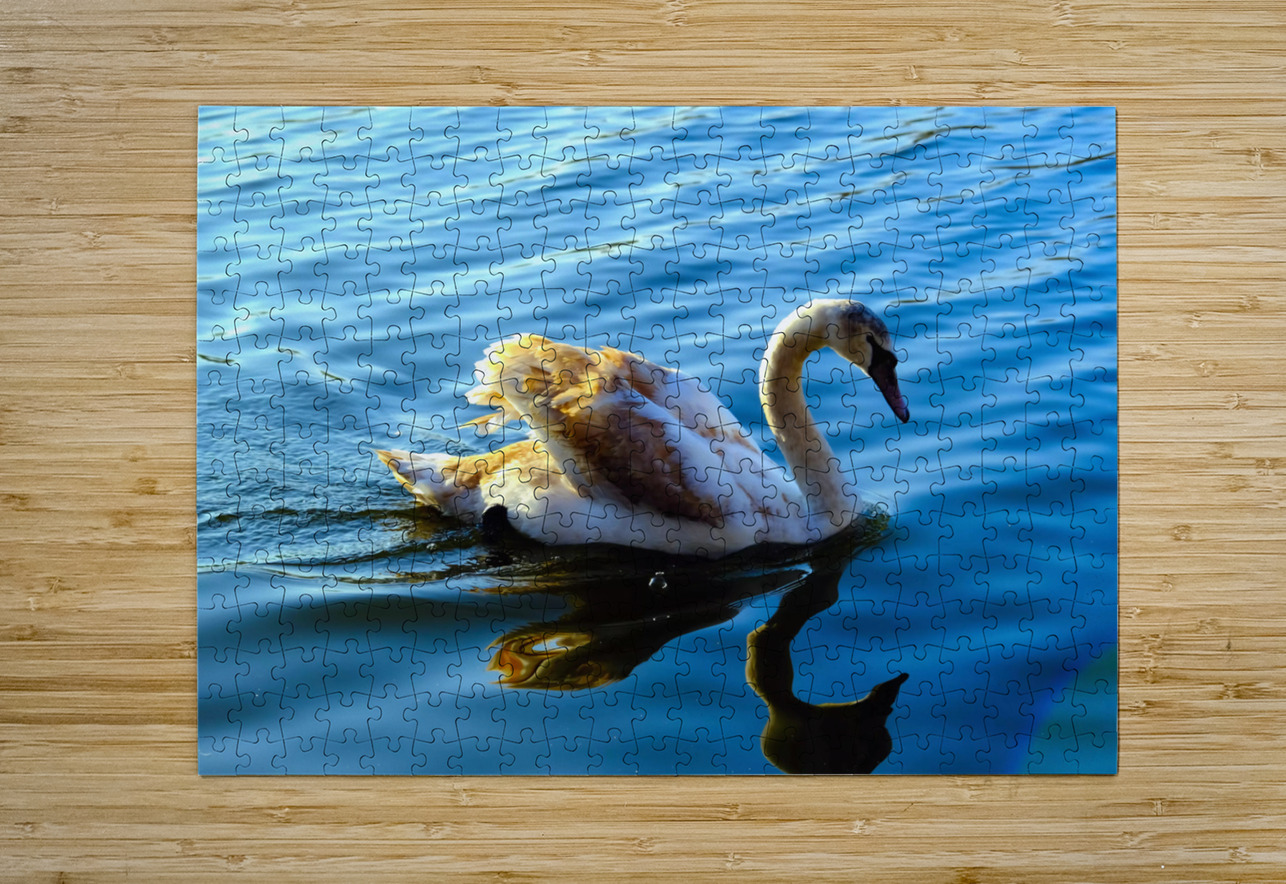 Baby Swan Cygnet Click4Pix Puzzle printing