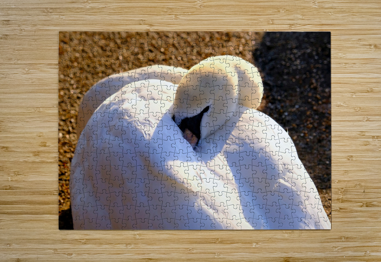 Got My Eye On You Swan Click4Pix Puzzle printing
