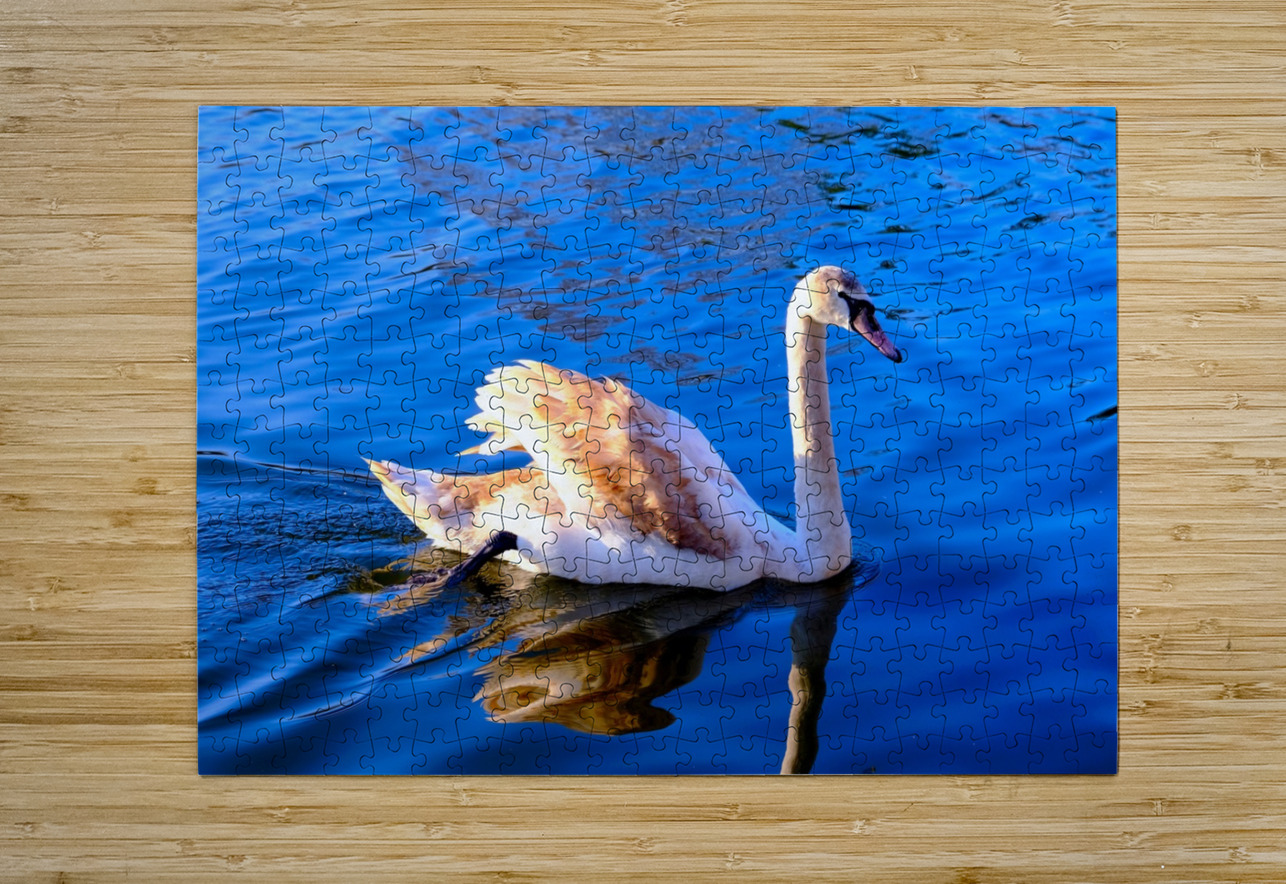 Baby Swan Cygnet 2 Click4Pix Puzzle printing