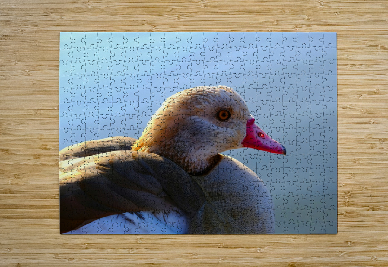 Duck Face Click4Pix Puzzle printing