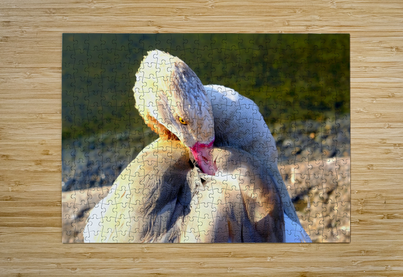 Evil Eye Swan Click4Pix Puzzle printing