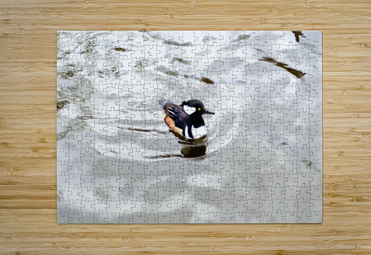 Only The Lonely Loon Click4Pix Puzzle printing