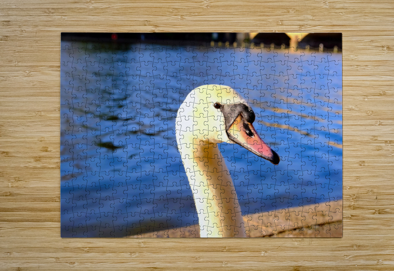 Graceful Swan by the River Click4Pix Puzzle printing