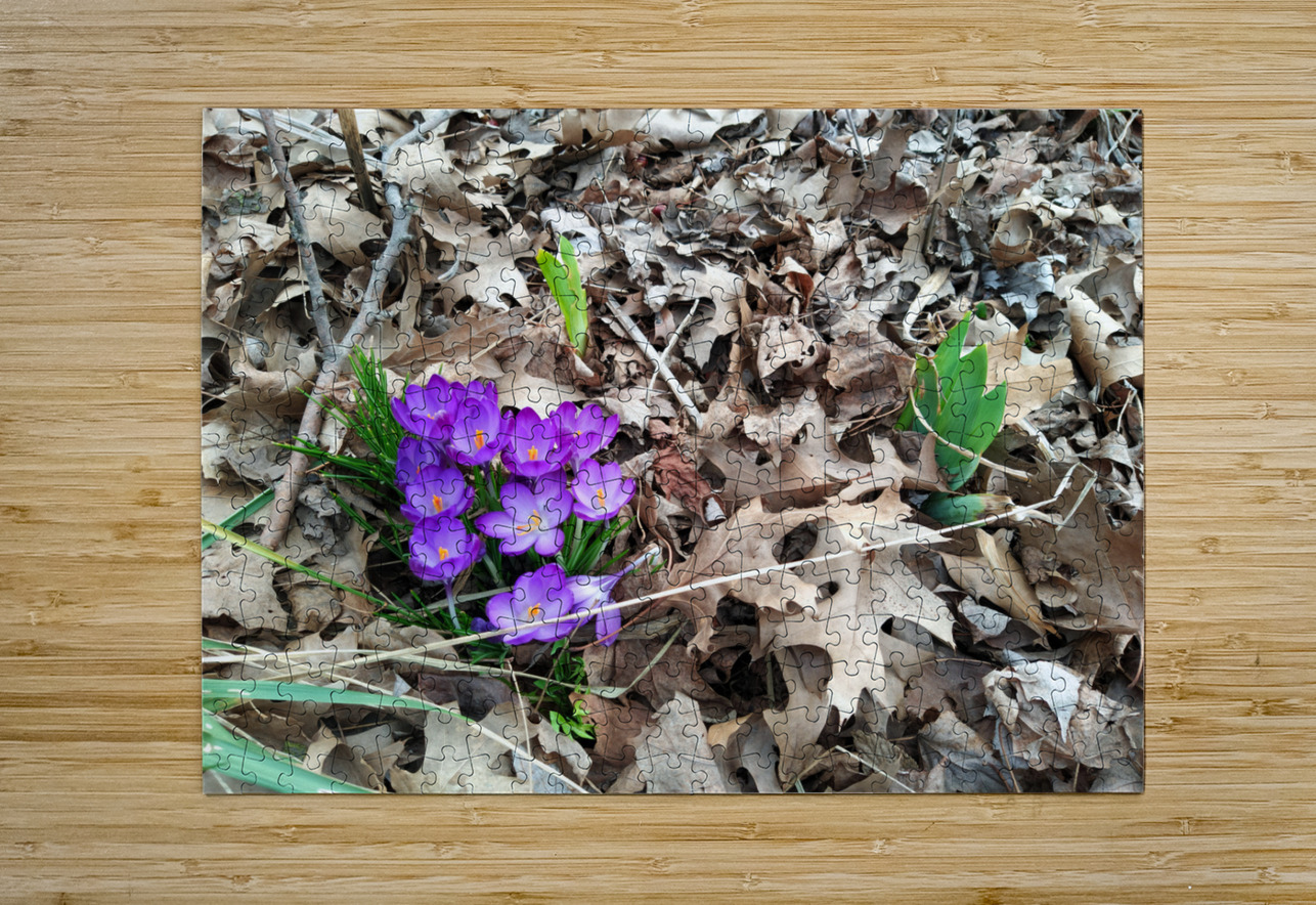 Spring Emerges Click4Pix Puzzle printing