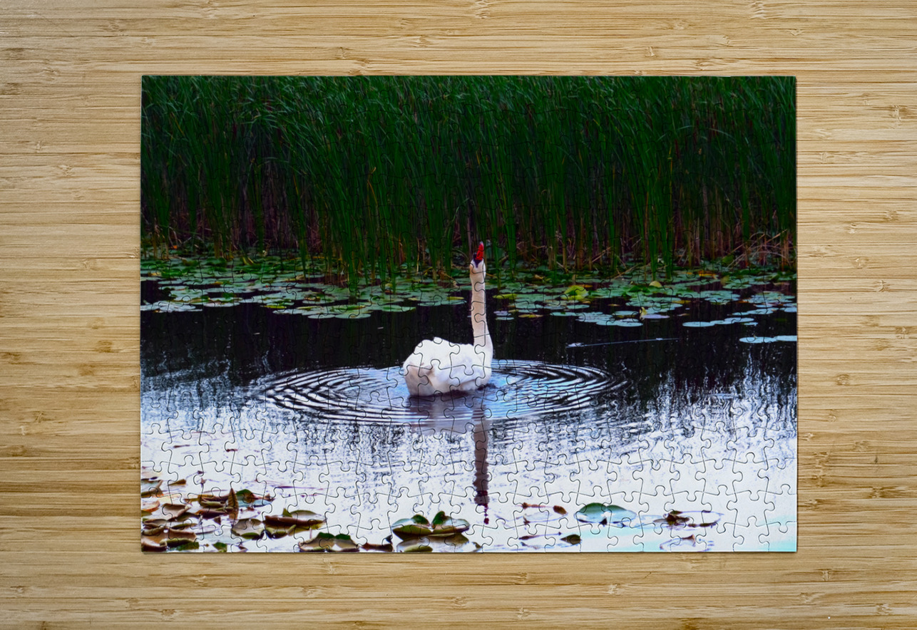 Where Is The Rain  Click4Pix Puzzle printing