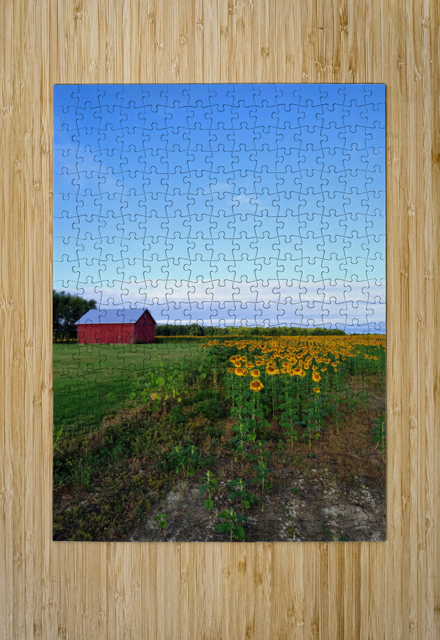 Golden Silence Click4Pix Puzzle printing