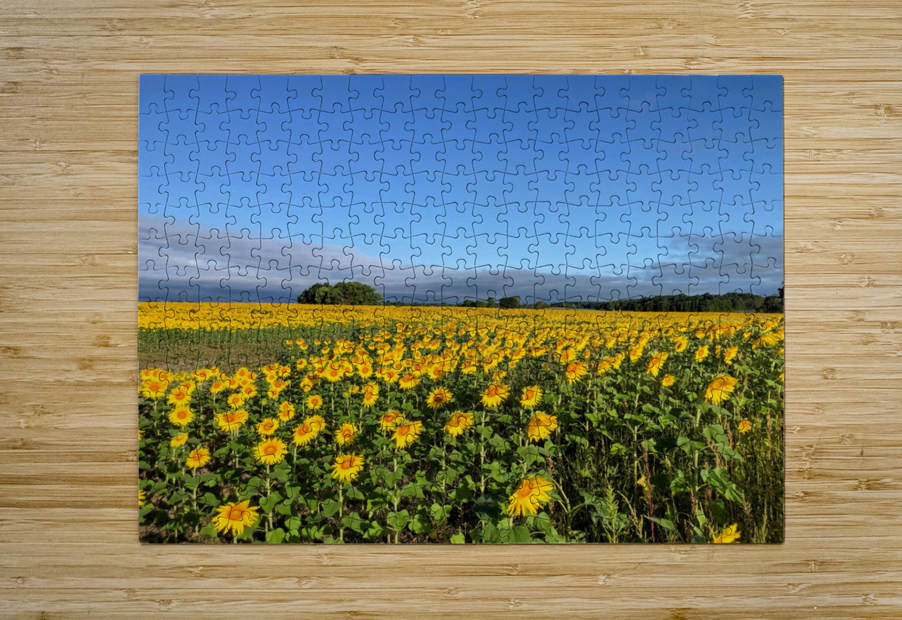 A Sea of Golden Dreams Click4Pix Puzzle printing