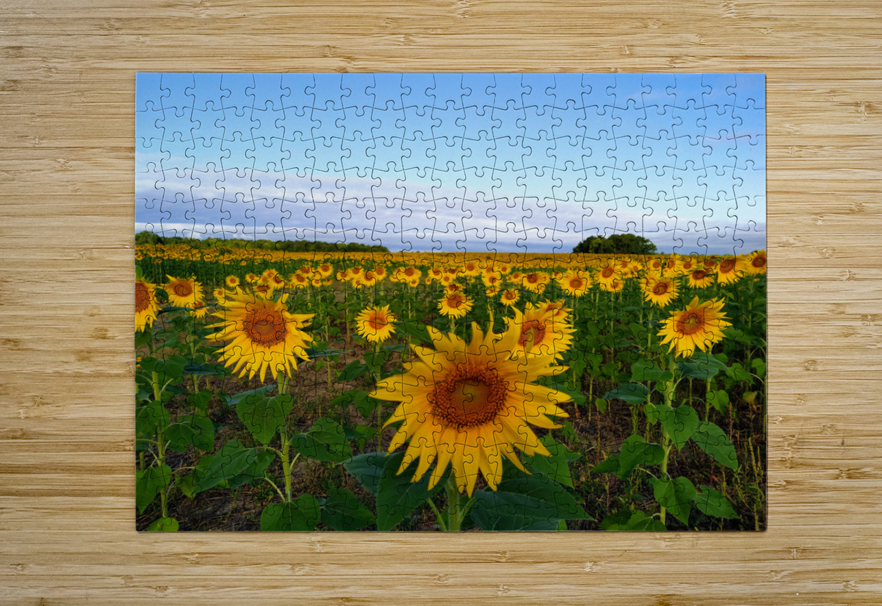 The Heart of Summer  Click4Pix Puzzle printing