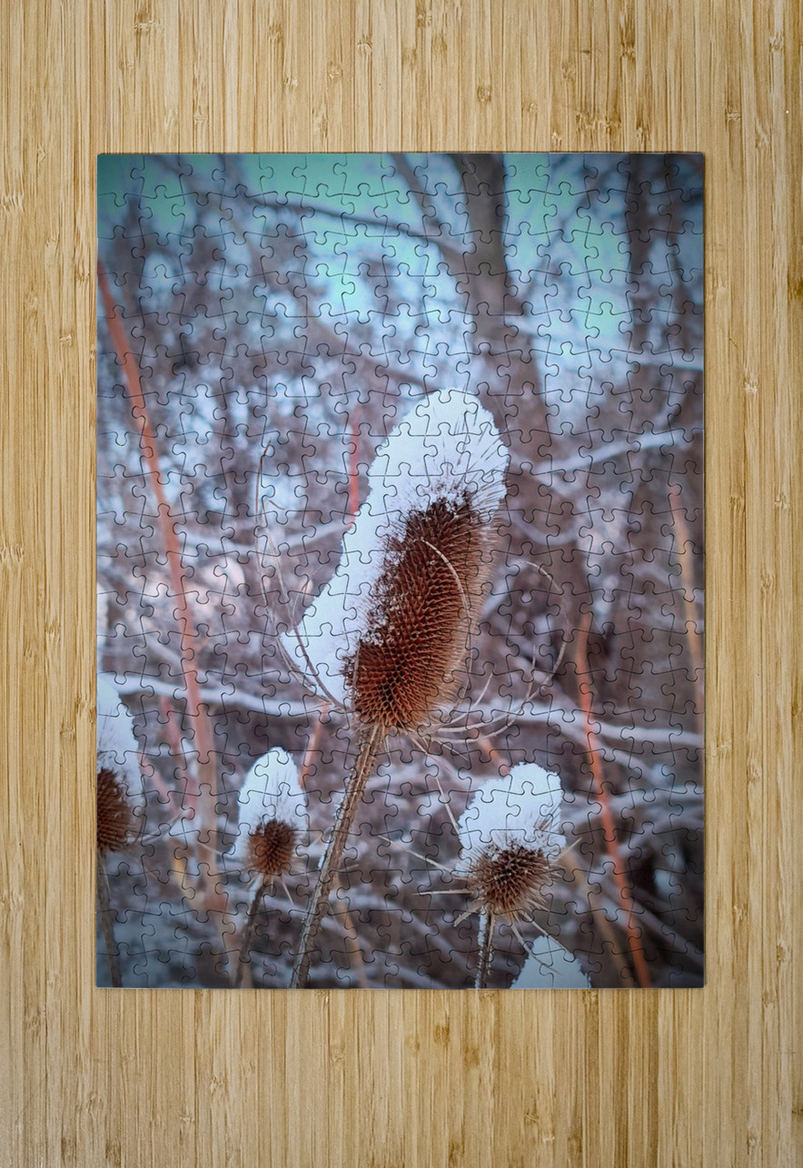 Frozen Lollipop Thistle Click4Pix Puzzle printing