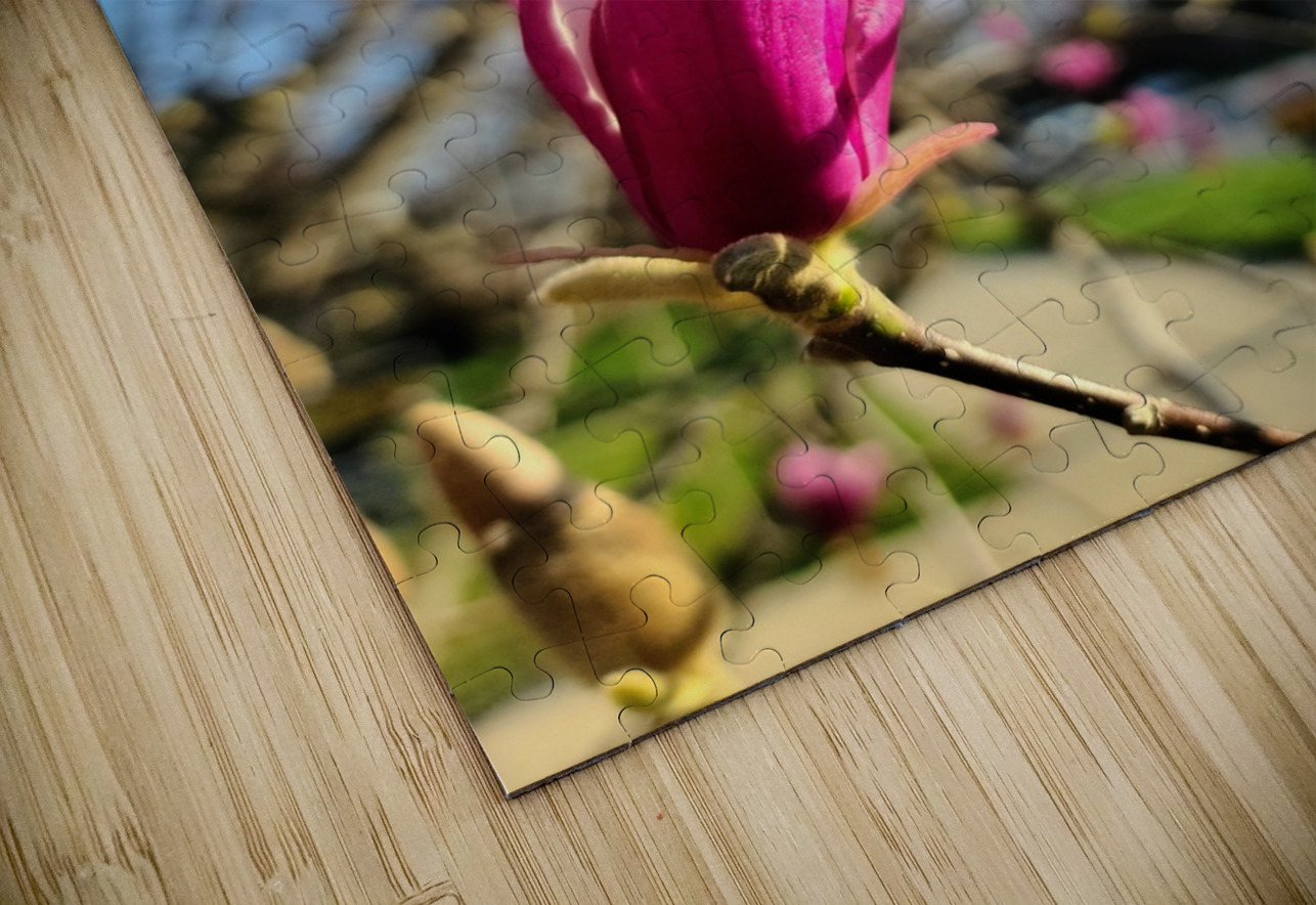 Buds of Hope and the Promise of Spring Click4Pix Puzzle