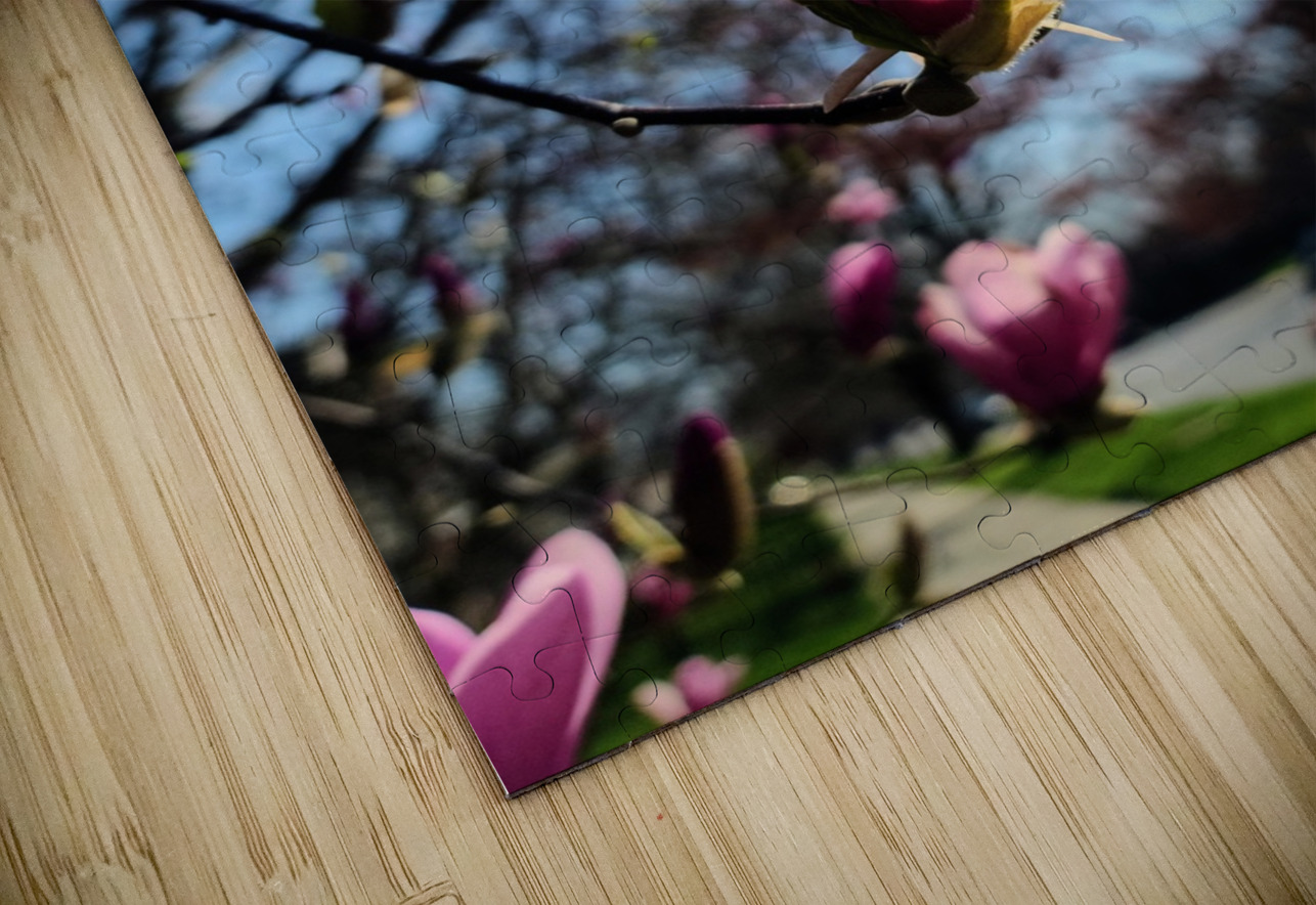 A Magnolia Moment in the Middle of Everything Click4Pix Puzzle