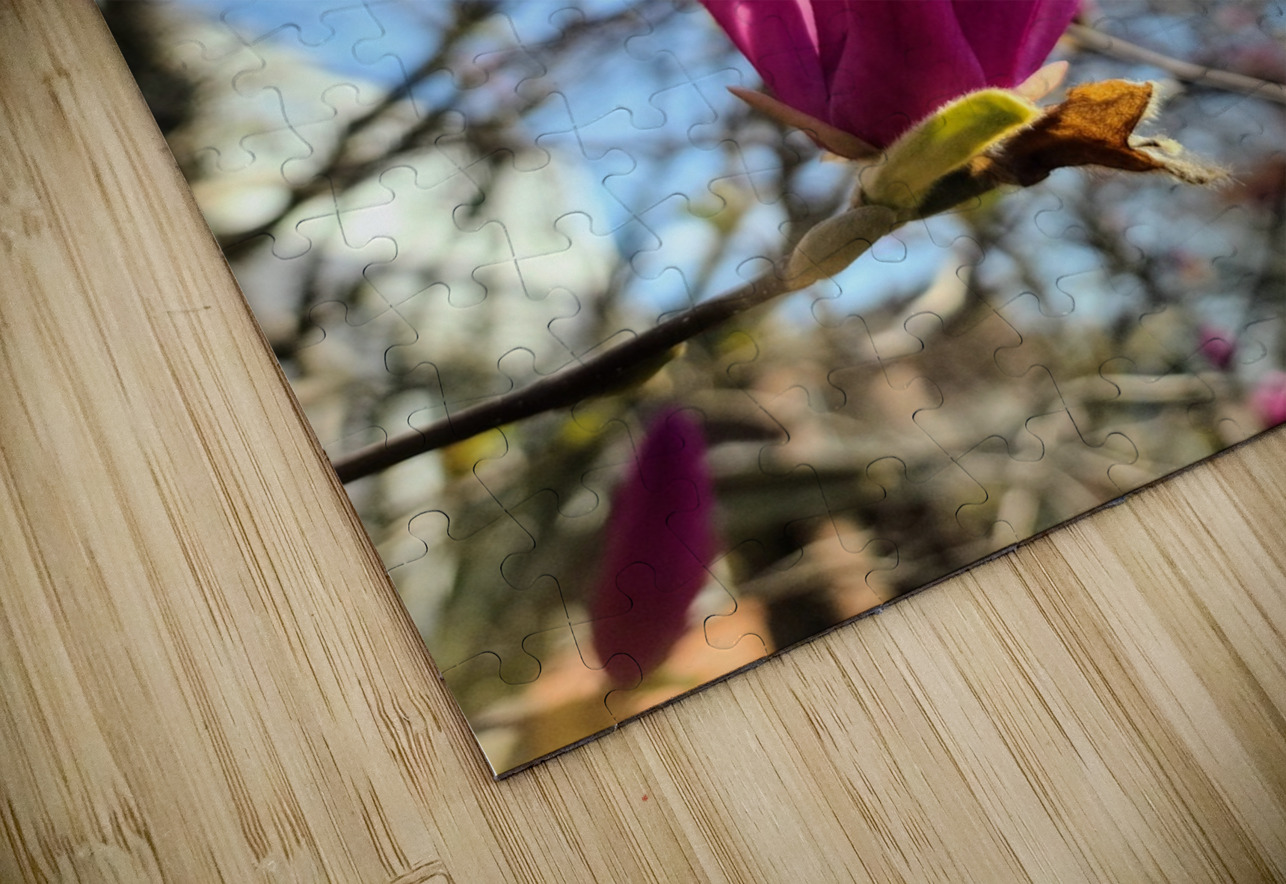 Magnolia Spring Bloom with Buds Click4Pix Puzzle