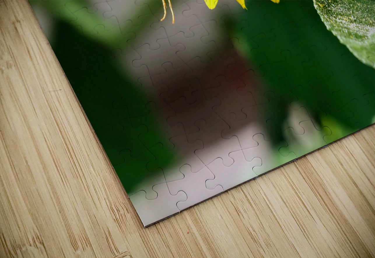 Dance of the Sunflower Spirits Click4Pix Puzzle